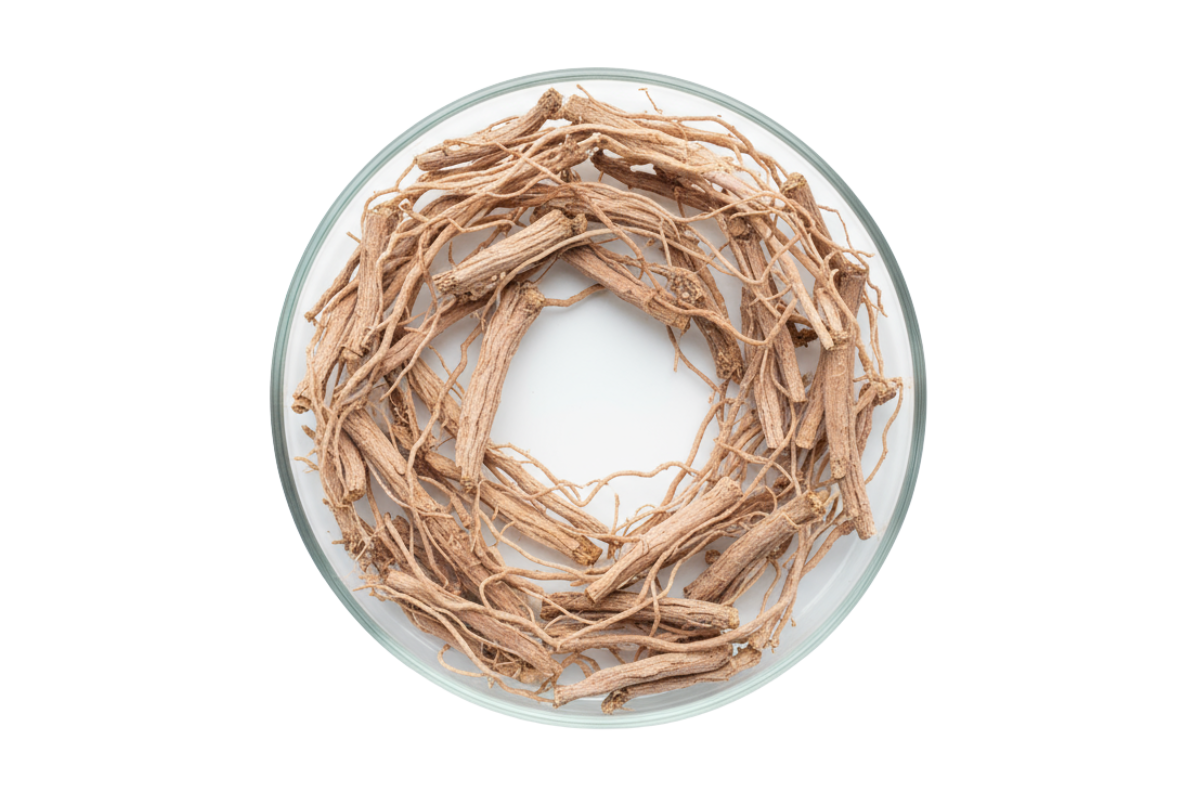 complément alimentaire pour baisser le cortisol : rhdiola Image